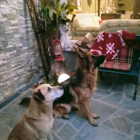 Bed & Breakfast Casa Dell'orso Lurisia