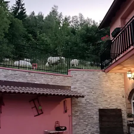 Casa Dell'orso 3* Lurisia