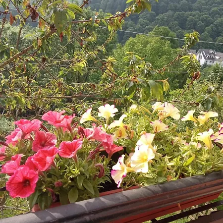 Bed & Breakfast Casa Dell'orso