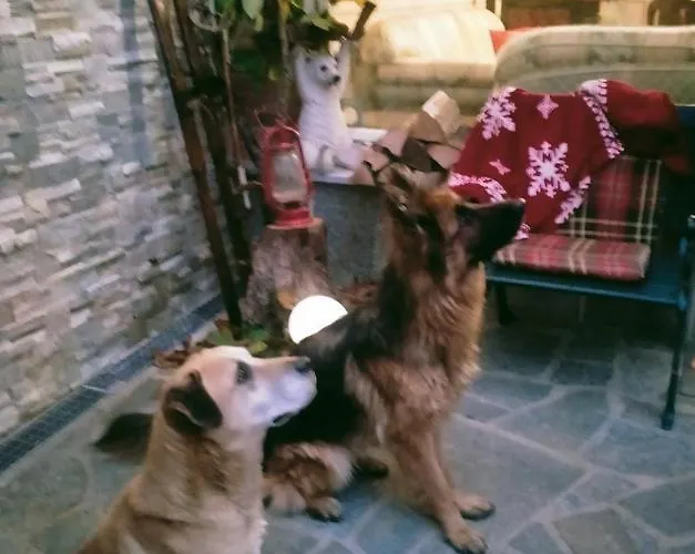 Nocleg ze śniadaniem Casa Dell'orso Lurisia