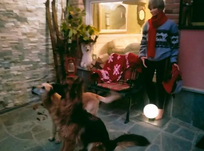 Casa Dell'orso 住宿加早餐酒店