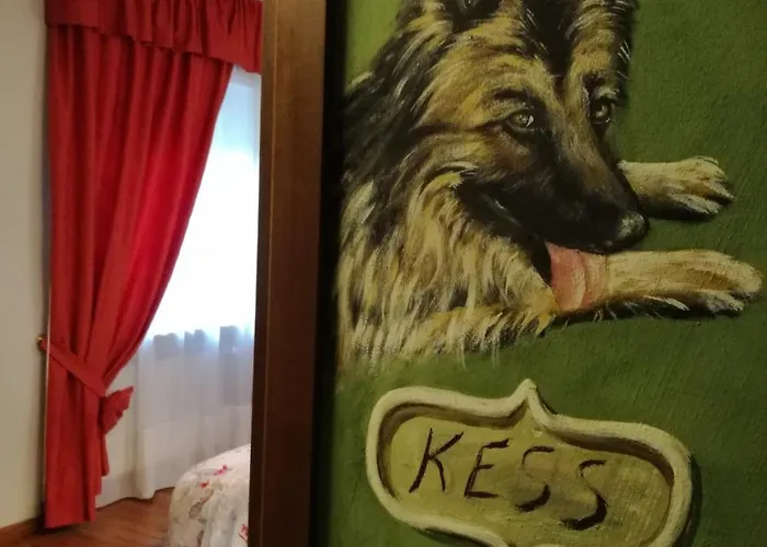 Casa Dell'orso 3* 卢里西亚